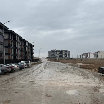 Nevruz Ve Tekinalp Caddelerindeki Çamurlu Yolların Acil Asfaltlanmasını İstiyoruz