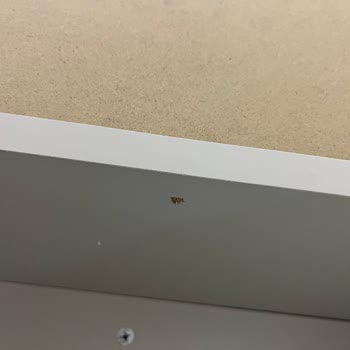 Assara Güldiker Mobilya’dan Hatalı Ürün Reddi Ve 112.000 TL Ek Kayıp