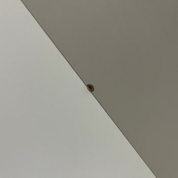 Assara Güldiker Mobilya’dan Hatalı Ürün Reddi Ve 112.000 TL Ek Kayıp