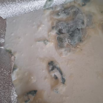 Açık Ambalajlı Küflü Peynir Satışı İçin İade Ve Denetim Talebi