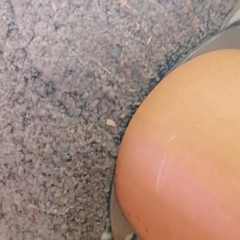 Katalogla Uyuşmayan Kalitesiz Koltuk Ve İade Sürecindeki Cevapsızlık Mağduriyetim