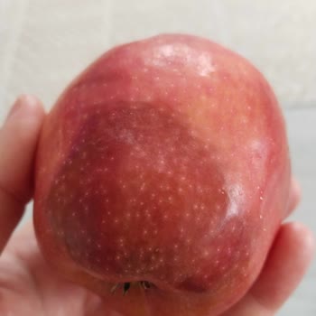 Migros Sebze Ve Meyve Seçiminde Sürekli Düşük Kalite Ve Müşteri İhmaline Son Verilmesi Gerekiyor!