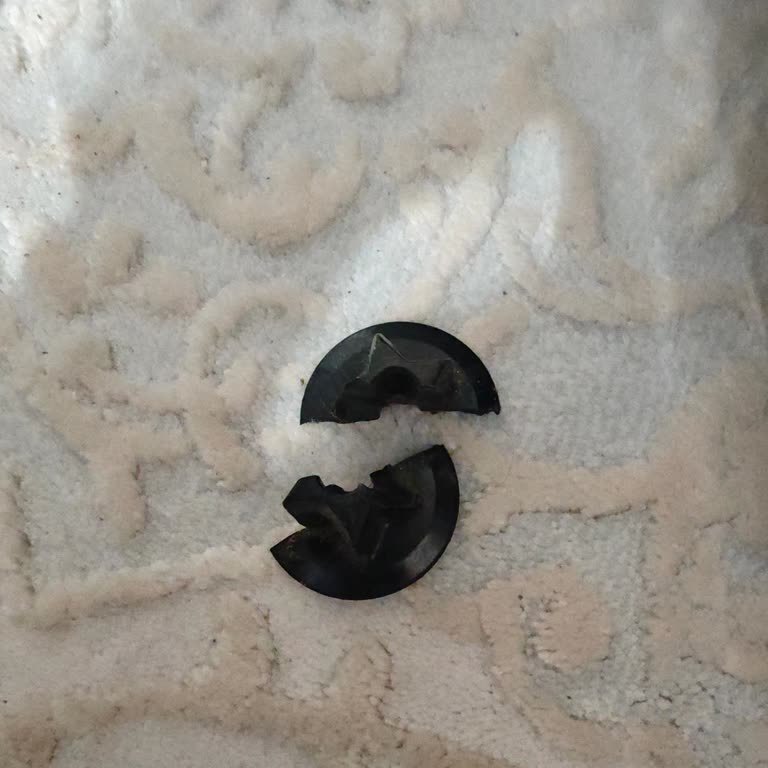 Bosch Serie 8 Elektrik Süpürgesinde Sürekli Arızalar Ve Garanti Kapsamında Hızlı Çözüm Talebi