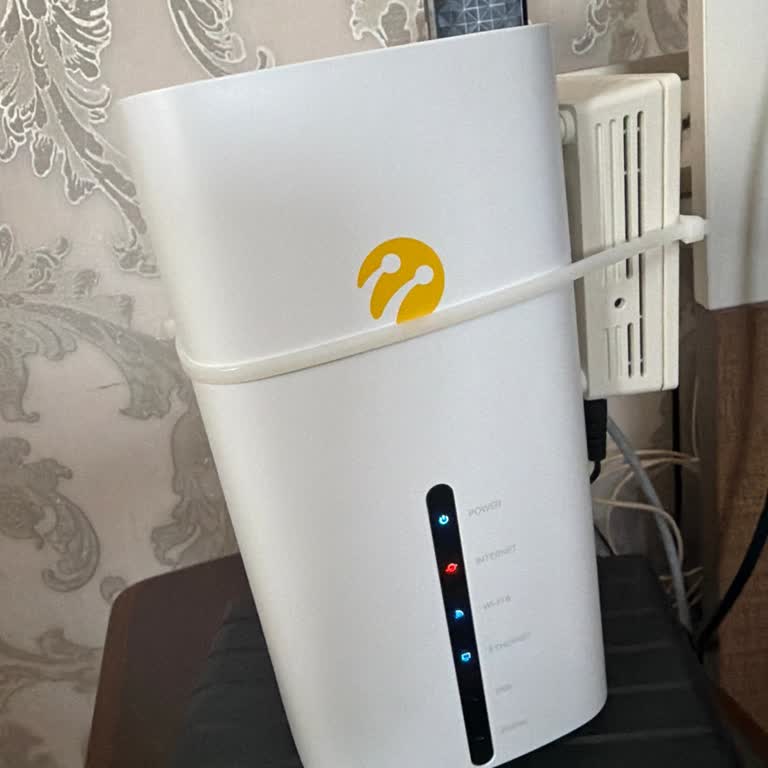 İnternete Bağlanamama Ve Cevapsız Arıza Kaydı