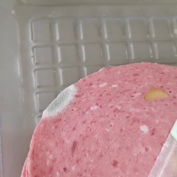 Son Kullanma Tarihi Geçerli Olmasına Rağmen Küflü Salam Üzerine Şikayet Ve İade Talebi