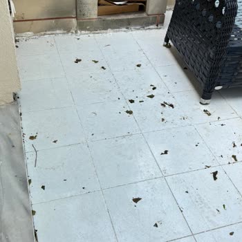 Bakırköy Belediyesi Ağaç Budama İhmali Çocuklu Aileyi Su Basıyor