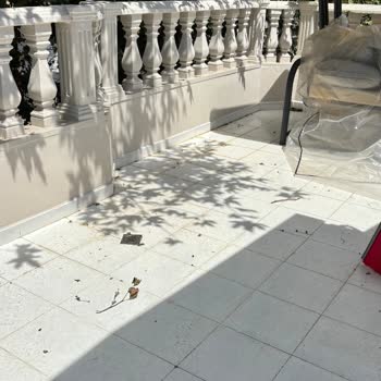 Bakırköy Belediyesi Ağaç Budama İhmali Çocuklu Aileyi Su Basıyor