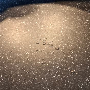 Pilav Tenceresinde Tekrar Kabarması Sorunu Ve Garanti Talepleri