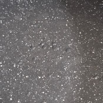 Pilav Tenceresinde Tekrar Kabarması Sorunu Ve Garanti Talepleri