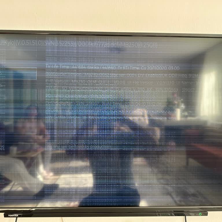 Toshiba TV Panel Arızası Ve Aşırı Yedek Parça Ücreti