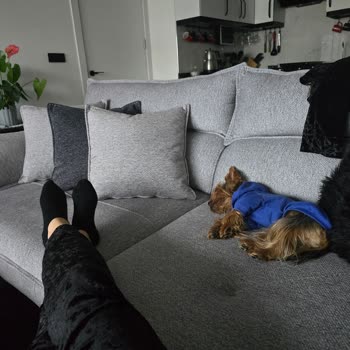 Migros Şubesinde Küçük Köpekle Giriş Yasaklanması Müşteriyi Hayal Kırıklığına Soktu