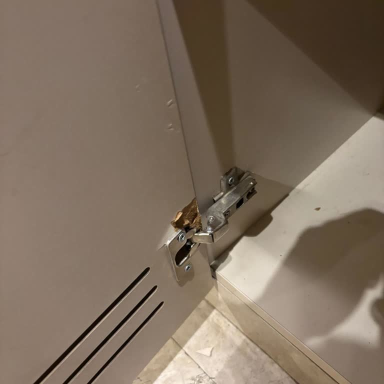 Marriott Hotels Eşyalarının Bakıma Ve Hijyene İhtiyacı Var