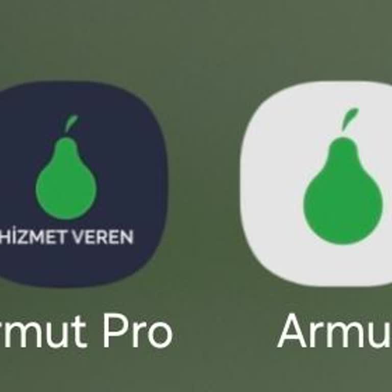 Armut Uygulamasında Sahte İlan Ve Ödeme Sorunu