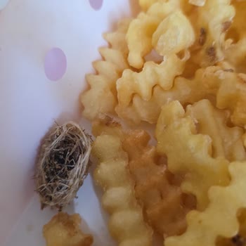 Bodrum’daki Burger King Şubesinde Patateslerde Böcek Yuvası Görüldü, İade Talep Edildi