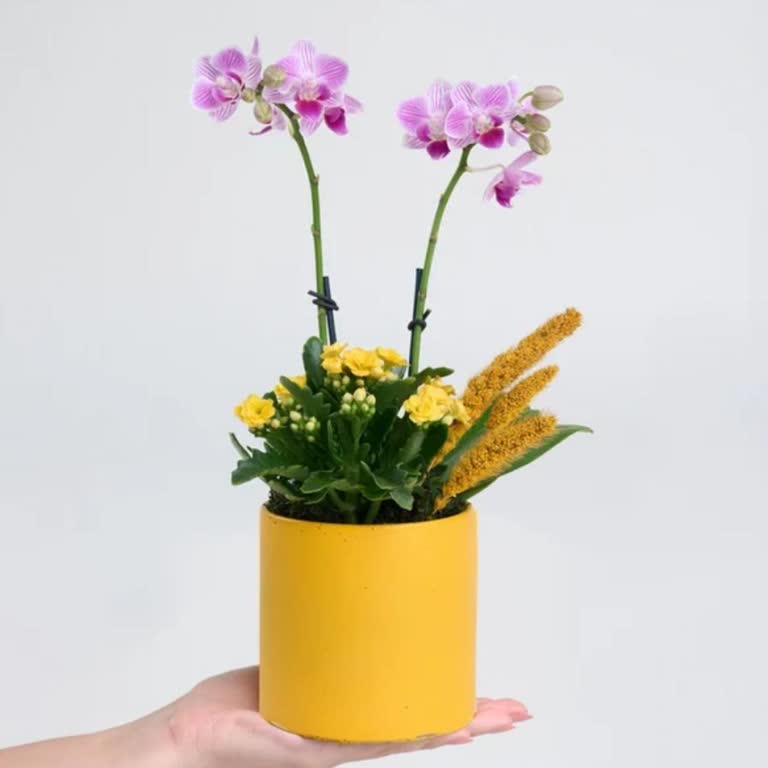 Teslimat Saatine Uymayan Sipariş Ve Bilgilendirme Sorunu