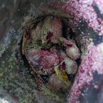 Kasiyerin İznim Olmadan Bozuk Bulaşık Tabletini Verdiği İçin Para İadesi Ve Özür Talebi