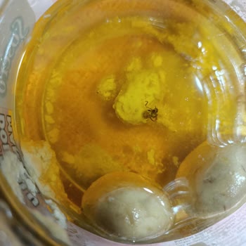 Büyük Böcek İçeren Mantarda Hijyen Skandalı Ve İade Talebi