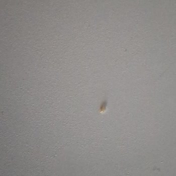 Ankara Polatlı BİM Şubesinde Party Cipsinde Bulunan Beyaz Plastik Parçacık Sağlık Endişesi Yaratıyor