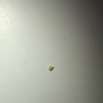 Ankara Polatlı BİM Şubesinde Party Cipsinde Bulunan Beyaz Plastik Parçacık Sağlık Endişesi Yaratıyor