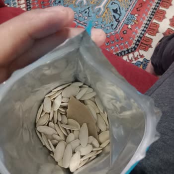 Kabak Çekirdeği Paketi İçinde İnşaat Parçası Bulundu