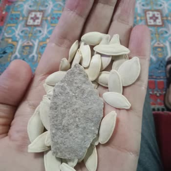 Kabak Çekirdeği Paketi İçinde İnşaat Parçası Bulundu