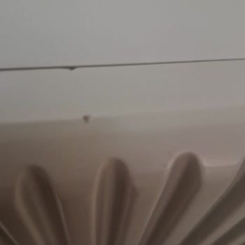 Yanlış Renk Ve Kalitede Mobilya Teslimi, İletişimsizlik Ve Tam Ücret İadesi Talebi