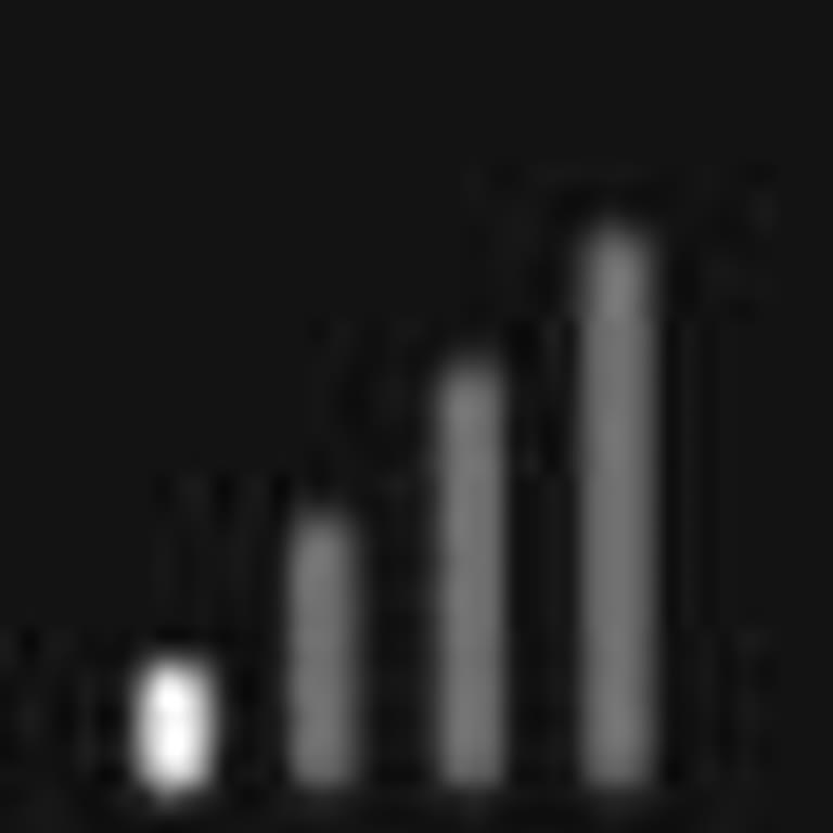 Deprem Bölgesinde Mobil Sinyal Kesintileri Ve Çözüm Bulunamaması