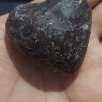 Rossmann’da Satın Aldığım Lambertz Keklerinin Küflenmesi Ve İade Talebi