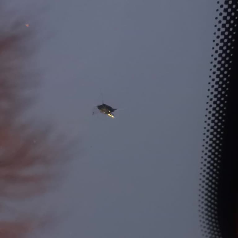 Avis Taş Sıçraması Nedeniyle Ön Cam Çatlağı İçin 18.000 TL Ücretine İtiraz!