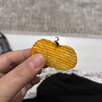 Ruffles Cipsinde Böcek Görülmesi Hijyen Endişesi Oluşturdu