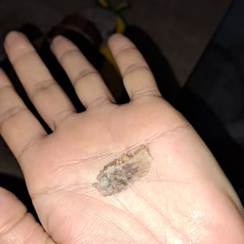 Maret Kavurmada Kemik Parçası Bulunması Gıda Güvenliğini Tehdit Ediyor