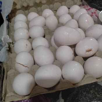 Carrefour SA  Siparişimde Tuvalet Kağıdı Ve Patates Eksik, Yumurta Kırık