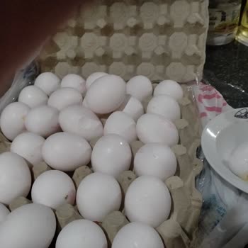 Carrefour SA  Siparişimde Tuvalet Kağıdı Ve Patates Eksik, Yumurta Kırık