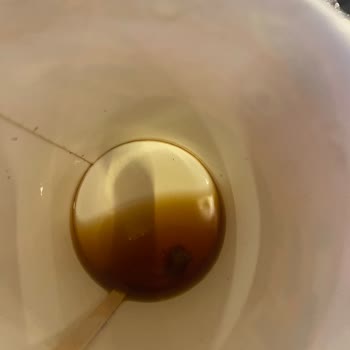 Espressolab Vialand Şubesinde Americano’da Kağıt Parçası, Sağlık Ve Hijyen Endişesi