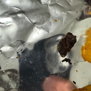 Patos Hot Chilli Cips Paketinde Simsi Yabancı Parça Çıktı: Değişim Ve Özür Talebi