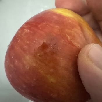 Migros Bozuk Meyveler Ve Yanlış Ürün Gönderimi