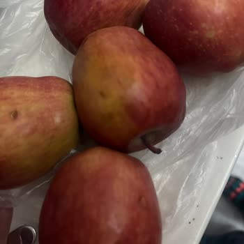 Migros Bozuk Meyveler Ve Yanlış Ürün Gönderimi