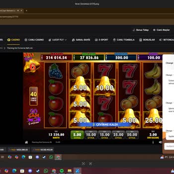 16 Bin TL Çekim Talebimin Reddedilmesi Ve Sürekli Ödeme Gecikmesi