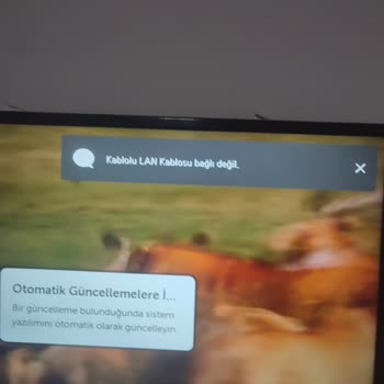 Wi-Fi Bağlantı Sorunu Ve Tekrarlanan Ana Kart Değişimlerine Rağmen LG'den Ürün Değişimi Talebi