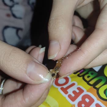 Bebeto Jelibonunda Yabancı Sert Parça Çıktı, Güvenimiz Sarsıldı