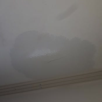 Deprem Konutunda Çatı Sızıntısı, Acil Onarım Talebi