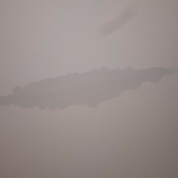 Deprem Konutunda Çatı Sızıntısı, Acil Onarım Talebi