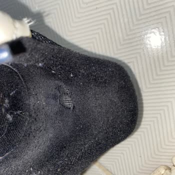 SuperStep'ten Aldığım Lacoste Ayakkabının Kısa Sürede Delik Ve Sökükleri İçin Değişim Talebi