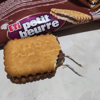 Bisküvi İçindeki Yabancı İp: Üretim İncelemesi Ve Ürün Değişimi İsteği