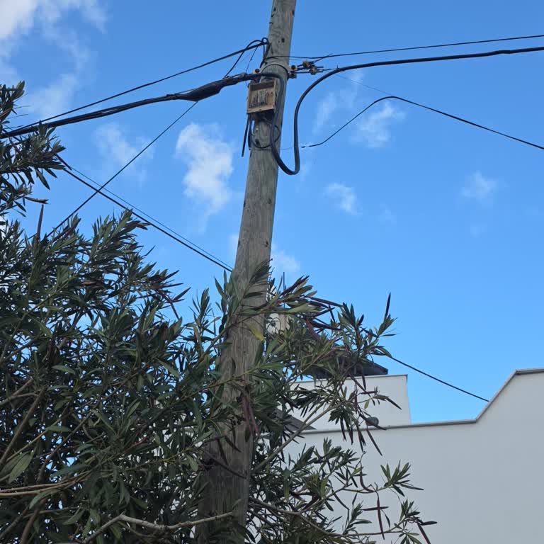 Bodrum Gündoğan’da İnternet Kesintisi Çözülmedi Ve Kayıt Yanıltıcı Şekilde Kapatıldı