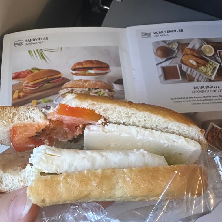 Uçakta Ücretsiz Su Olmayışı Ve Yanıltıcı Sandviç Sunumu