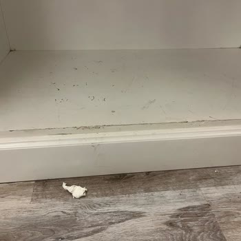 Dubai Rüyası Turu Yan Yana Oda İsteğimiz Reddedildi Ve Hijyen Sorunlarıyla Mağdur Olduk