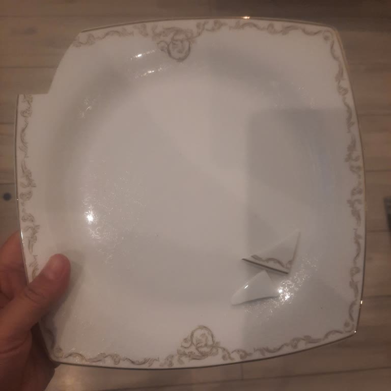 Pierre Cardin Yemek Takımının Kırılan Parçasını Bulma Çabam!