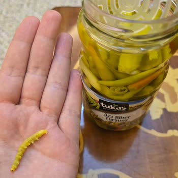 Kavanozda Kurt: Tukaş Turşusunda Hijyen İhlali