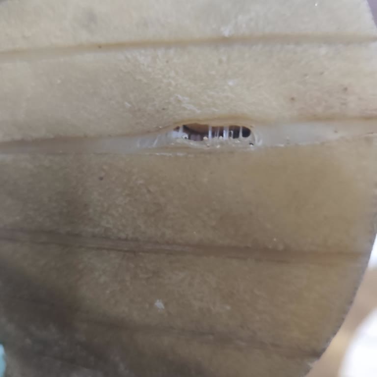 Deichmann’da Ayakkabı Tabanı Delindi, Fatura Talebi Reddedildi